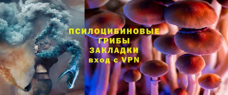 кракен вход  Сатка  Галлюциногенные грибы Psilocybine cubensis 